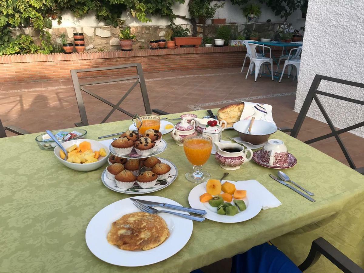Villa Tocororo En Pinos De Alhaurin 알하우린데라토레 외부 사진